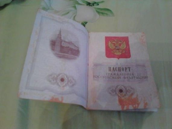 прописка в Нытве